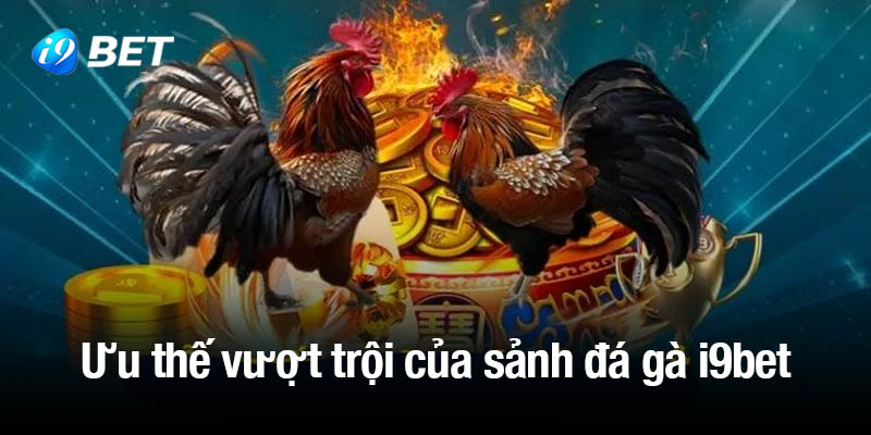 Những ưu thế vượt trội của sảnh đá gà i9bet